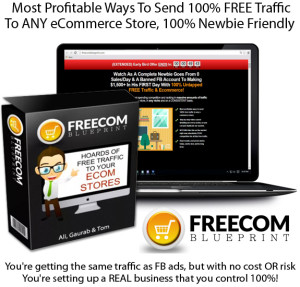 Freecom Blueprint INSTANT DOWNLOAD COMPLETE No Cost Traffic Course
